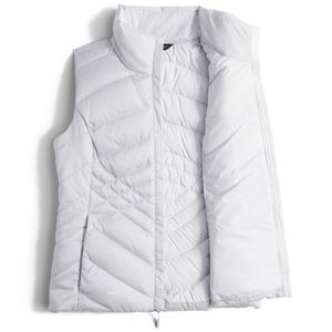 The north face vest